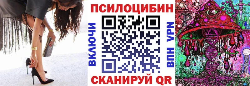Галлюциногенные грибы мицелий  Купить закладки  Каргат 