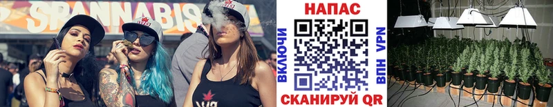 Купить где Каргат Бошки Шишки THC 21%